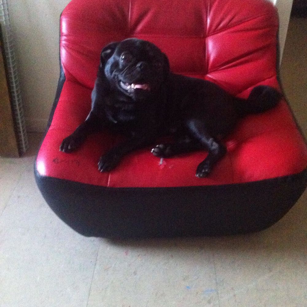 Meet your Posher, Marcelino